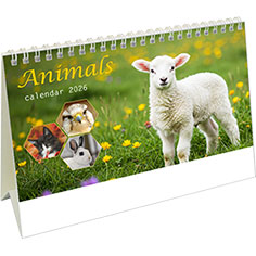 Calendrier de bureau chevalet 2026 Animals