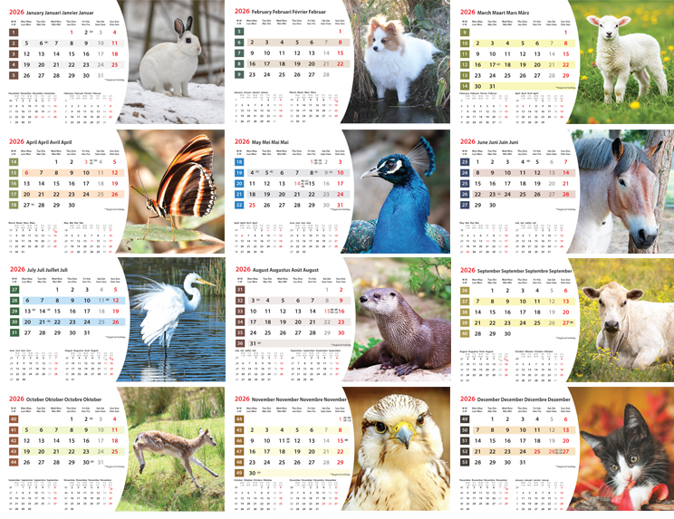 Calendrier de bureau chevalet 2026 Animals Images
