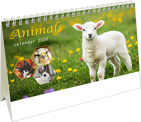 Calendrier de bureau chevalet 2026 Animals Page de garde