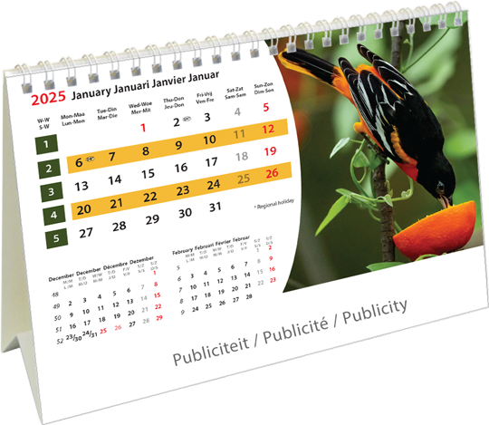 Calendrier de bureau chevalet 2025 Wildlife