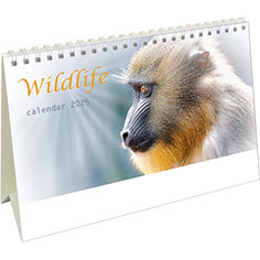 Calendrier de bureau chevalet 2025 Wildlife