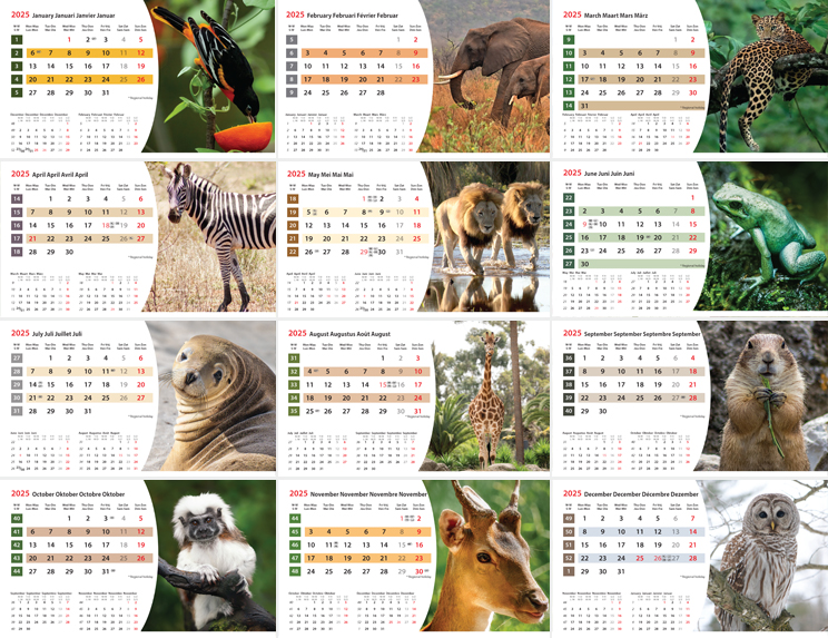 Calendrier de bureau chevalet 2025 Wildlife Images