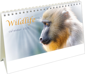 Calendrier de bureau chevalet 2025 Wildlife Page de garde