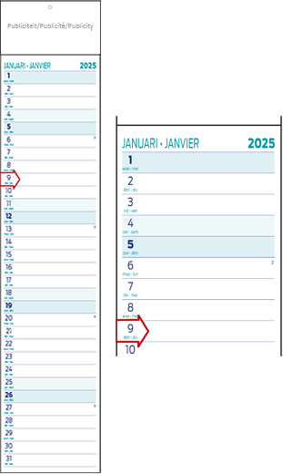Calendrier languette 2025 Midi 12p 11x59cm