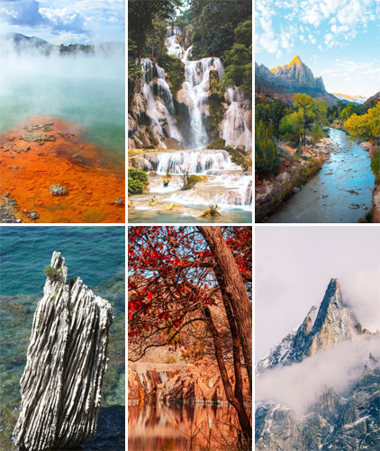 Calendrier mural illustré 2026 Amazing Nature 6p 22x41cm Images