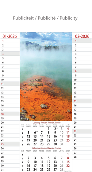 Calendrier mural illustré 2026 Amazing Nature 6p 22x41cm