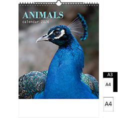 Calendrier publicitaire illustré 2024 Animals A4 A3