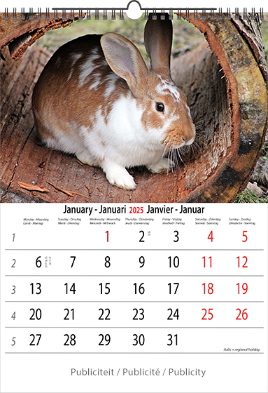 Calendrier mural 2025 Animals 13p A4 A3