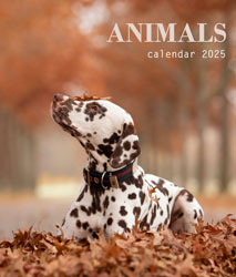 Calendrier mural 2024 Animals 13p A4 A3 Page de garde