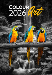 Calendrier mural 2026 Colour Art 13p 31x52cm Page de garde