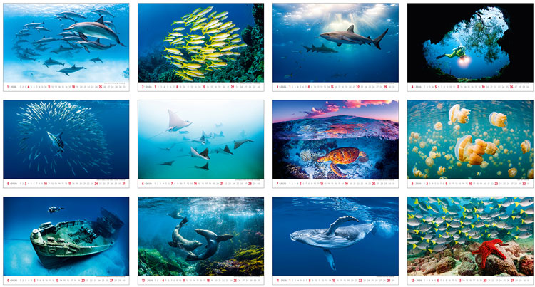 Calendrier mural 2026 Deep Blue 13p 45x38cm Images