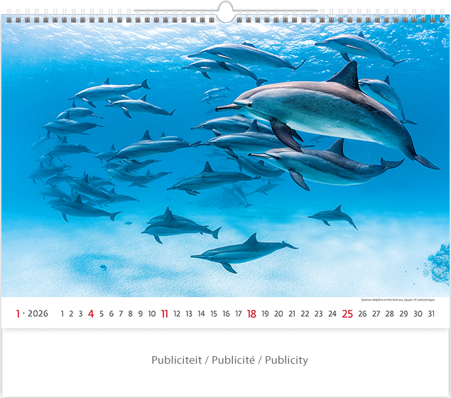 Calendrier mural 2026 Deep Blue 13p 45x38cm