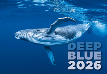 Calendrier mural 2026 Deep Blue 13p 45x38cm Page de garde