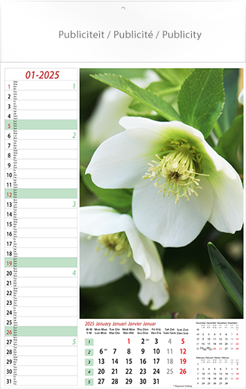 Calendrier mural 2025 Flowers 13p 30x47cm