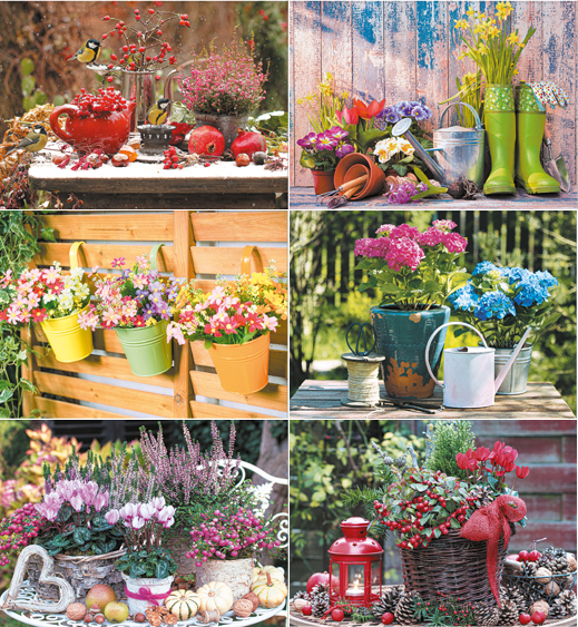 Calendrier mural illustré 2025 Flowers 6p 22x41cm Images