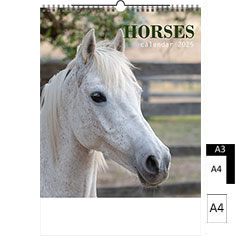 Calendrier publicitaire illustré 2024 Horses A4 A3