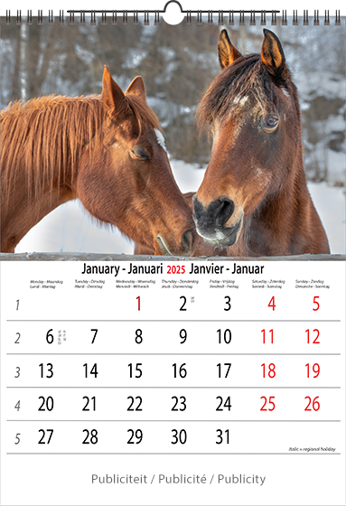 Calendrier mural 2025 Horses 13p A4 A3