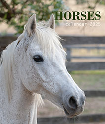 Calendrier mural 2025 Horses 13p A4 A3 Page de garde