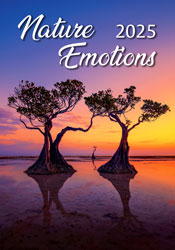 Calendrier mural 2025 Nature Emotions 13p 31x52cm Page de garde