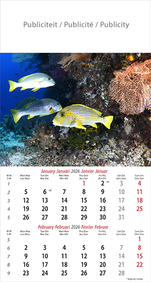 Calendrier mural illustré 2026 Ocean Wonders 6p 22x41cm