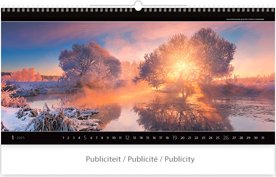 Calendrier mural 2025 Panoramaphoto 13p 63x38cm