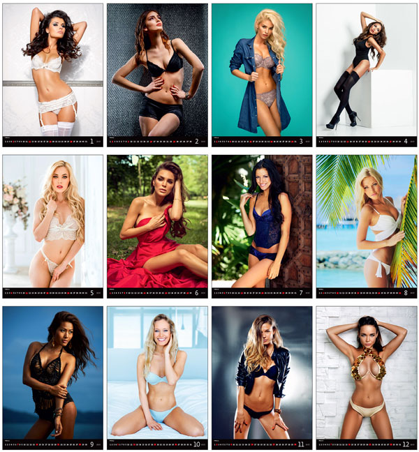 Calendrier mural 2025 Pin-Up Hot Girls 13p 31x52cm Images