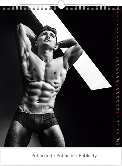 Calendrier mural 2025 Pin-up Men 13p 45x59cm