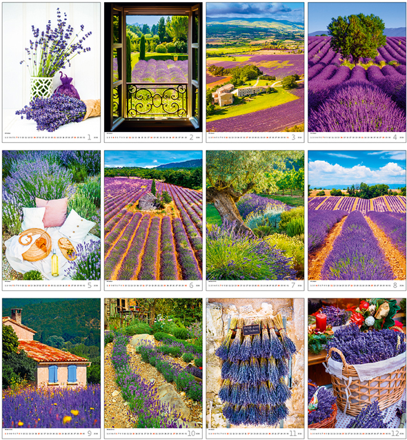 Calendrier mural 2024 Provence 13p 31x52cm Images