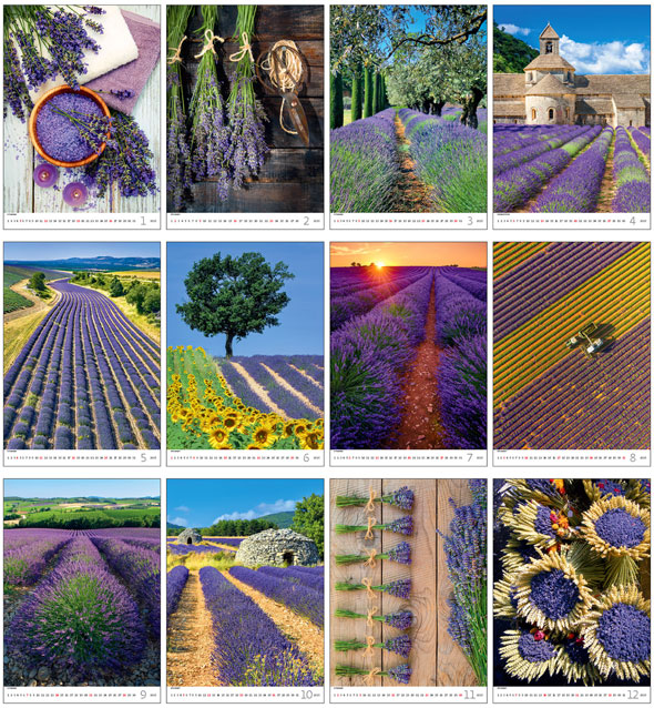 Calendrier mural 2025 Provence 13p 31x52cm Images
