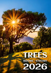 Calendrier mural 2026 Trees 13p 31x52cm Page de garde
