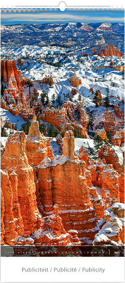 Calendrier mural 2025 Verticalphoto 13p 31x70cm
