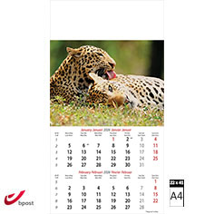 Calendrier mural 2026 Wildlife 6 pages