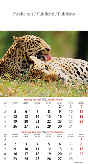 Calendrier mural illustré 2026 Wildlife 6p 22x41cm