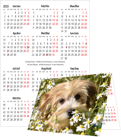 Calendrier de poche 2025 Double