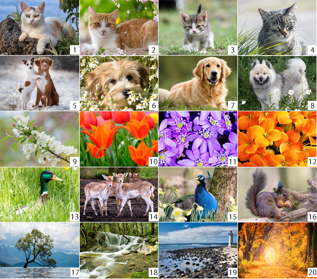 Calendrier de poche 2025 Double Photo
