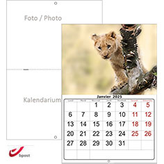 Calendrier mural sur mesure Double agrafe